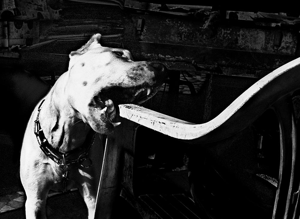 Anders Petersen. Ur 'Roma, a diary 2005'.