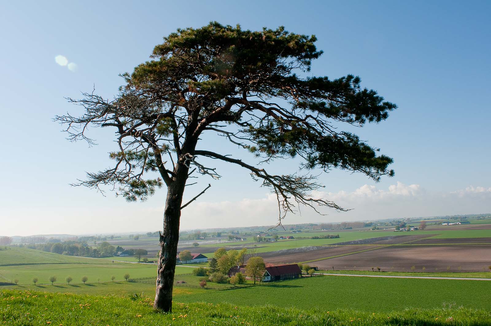 Vy från Kåsebergaåsen